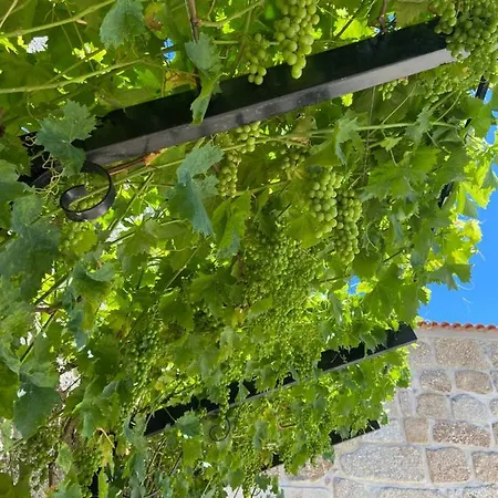 Quinta Da Cortelhinha *