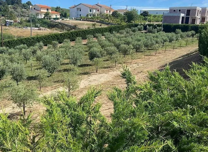 Quinta Da Cortelhinha *