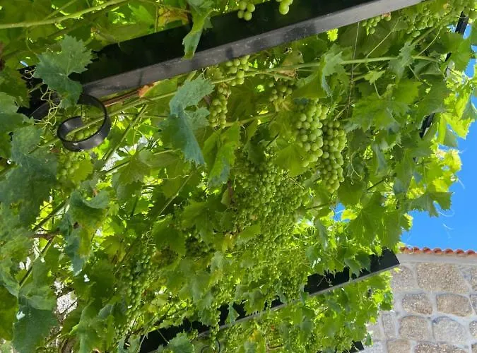 Quinta Da Cortelhinha *